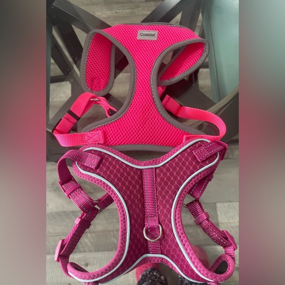 - 🇺🇸Coastal Pet Harness Set in Pink and Burgundy